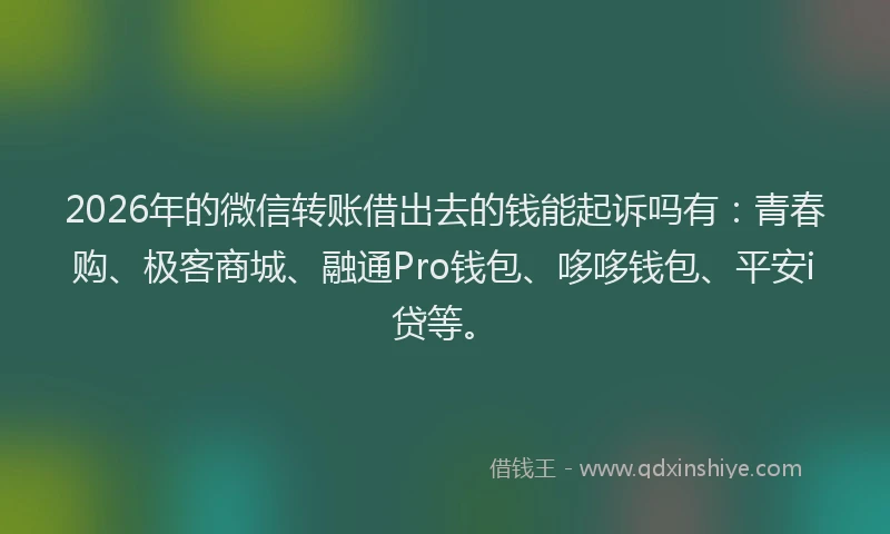 2026年的微信转账借出去的钱能起诉吗有：青春购、极客商城、融通Pro钱包、哆哆钱包、平安i贷等。