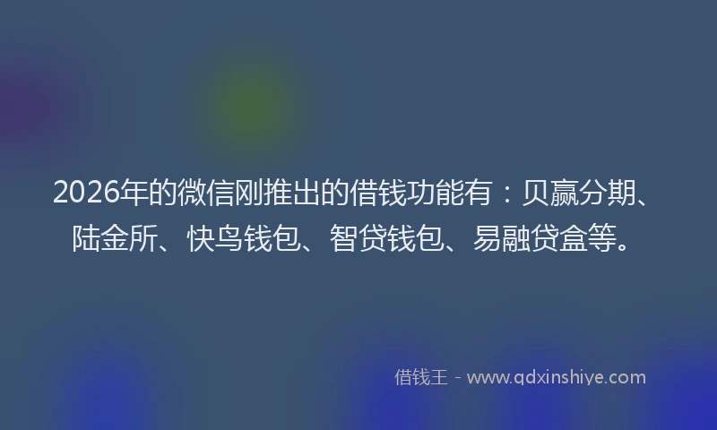 2026年的微信刚推出的借钱功能有：贝赢分期、陆金所、快鸟钱包、智贷钱包、易融贷盒等。