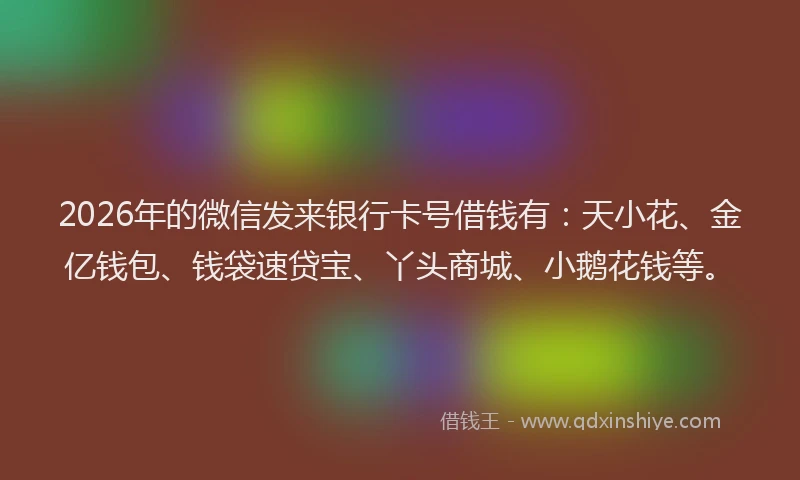 2026年的微信发来银行卡号借钱有：天小花、金亿钱包、钱袋速贷宝、丫头商城、小鹅花钱等。
