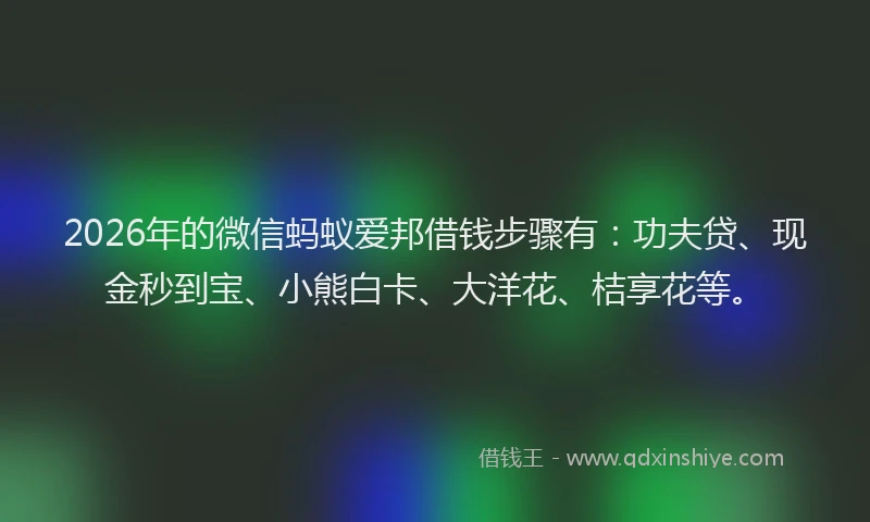 2026年的微信蚂蚁爱邦借钱步骤有：功夫贷、现金秒到宝、小熊白卡、大洋花、桔享花等。