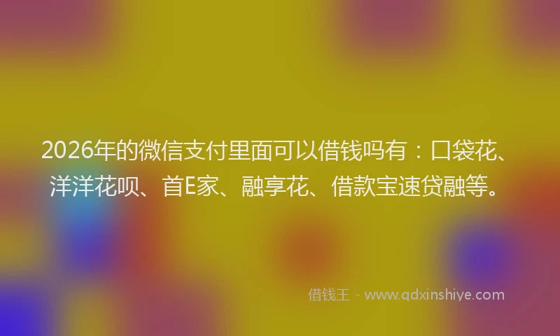2026年的微信支付里面可以借钱吗有：口袋花、洋洋花呗、首E家、融享花、借款宝速贷融等。