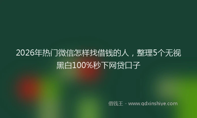2026年热门微信怎样找借钱的人，整理5个无视黑白100%秒下网贷口子