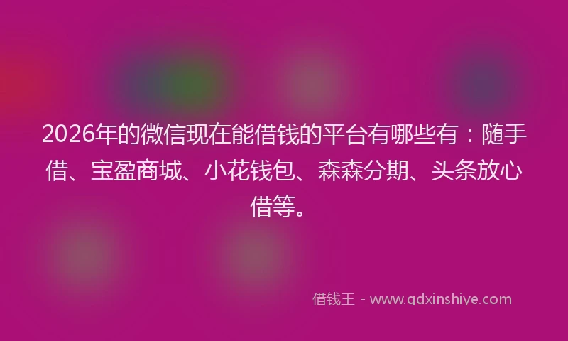 2026年的微信现在能借钱的平台有哪些有：随手借、宝盈商城、小花钱包、森森分期、头条放心借等。