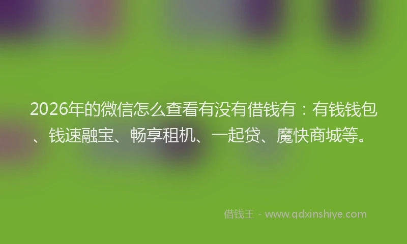 2026年的微信怎么查看有没有借钱有：有钱钱包、钱速融宝、畅享租机、一起贷、魔快商城等。