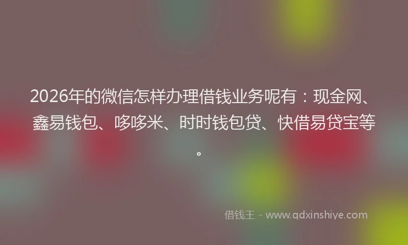 2026年的微信怎样办理借钱业务呢有：现金网、鑫易钱包、哆哆米、时时钱包贷、快借易贷宝等。