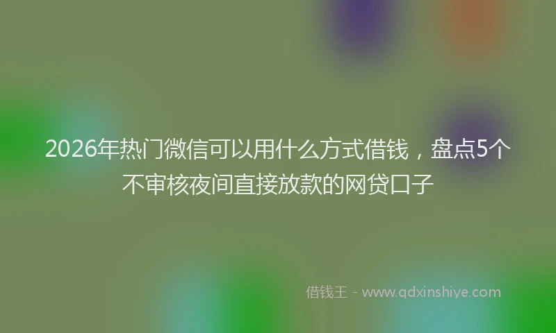 2026年热门微信可以用什么方式借钱，盘点5个不审核夜间直接放款的网贷口子