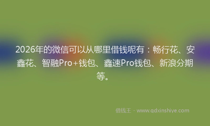 2026年的微信可以从哪里借钱呢有：畅行花、安鑫花、智融Pro+钱包、鑫速Pro钱包、新浪分期等。