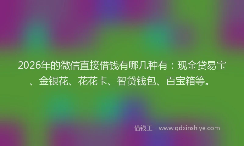 2026年的微信直接借钱有哪几种有：现金贷易宝、金银花、花花卡、智贷钱包、百宝箱等。