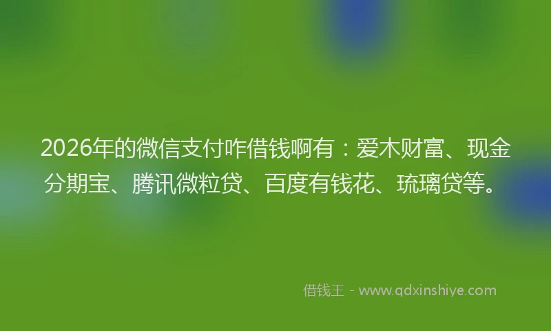 2026年的微信支付咋借钱啊有:爱木财富、现金分期宝、腾讯微粒贷、百度有钱花、琉璃贷等。
