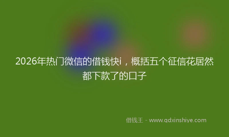 2026年热门微信的借钱快i，概括五个征信花居然都下款了的口子