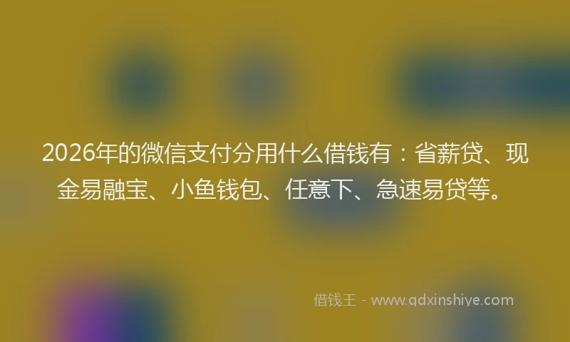 2026年的微信支付分用什么借钱有：省薪贷、现金易融宝、小鱼钱包、任意下、急速易贷等。