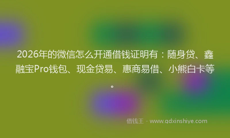 2026年的微信怎么开通借钱证明有：随身贷、鑫融宝Pro钱包、现金贷易、惠商易借、小熊白卡等。