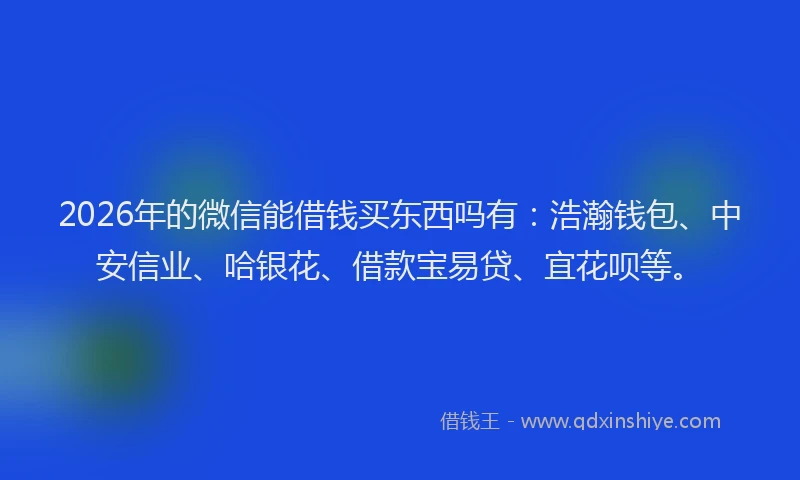 2026年的微信能借钱买东西吗有：浩瀚钱包、中安信业、哈银花、借款宝易贷、宜花呗等。