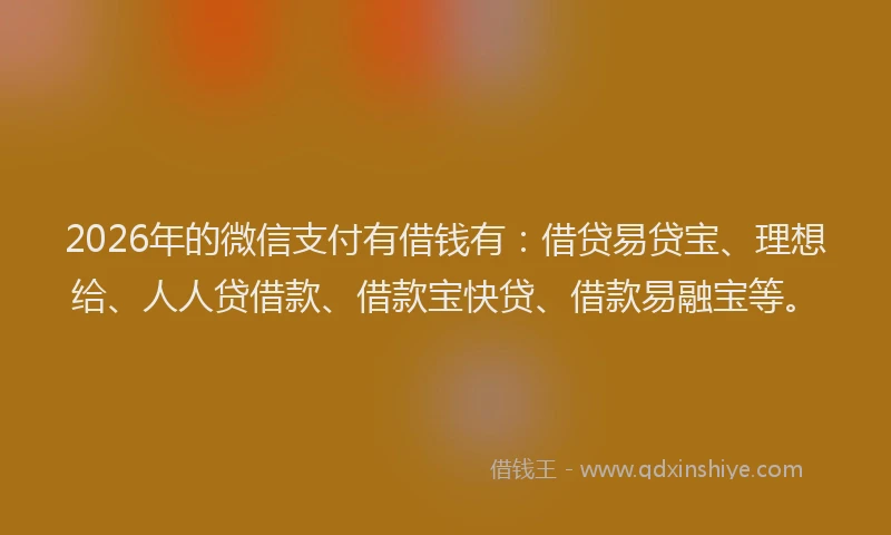 2026年的微信支付有借钱有:借贷易贷宝、理想给、人人贷借款、借款宝快贷、借款易融宝等。