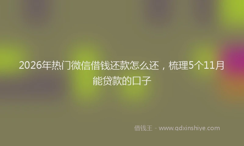 2026年热门微信借钱还款怎么还，梳理5个11月能贷款的口子