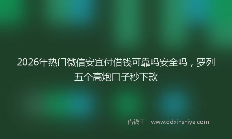 2026年热门微信安宜付借钱可靠吗安全吗，罗列五个高炮口子秒下款