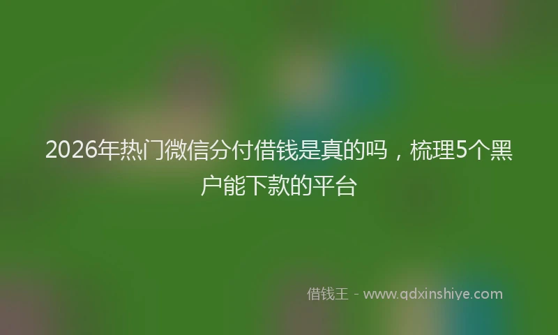 2026年热门微信分付借钱是真的吗，梳理5个黑户能下款的平台