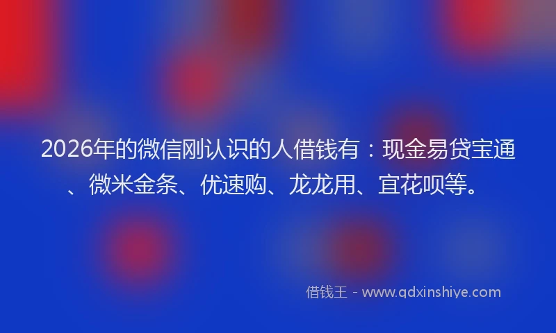 2026年的微信刚认识的人借钱有:现金易贷宝通、微米金条、优速购、龙龙用、宜花呗等。