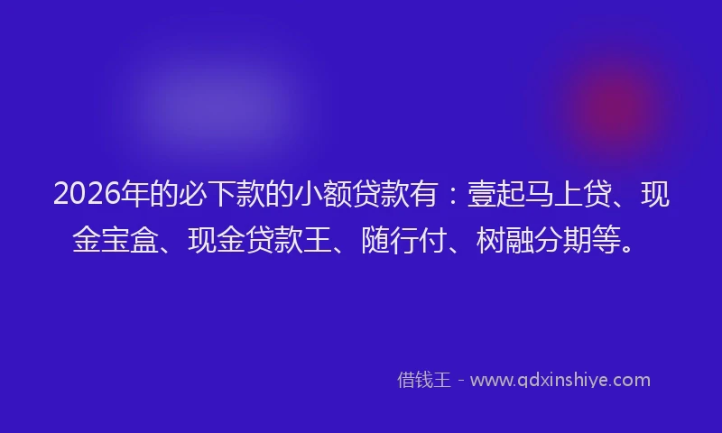 2026年的必下款的小额贷款有：壹起马上贷、现金宝盒、现金贷款王、随行付、树融分期等。