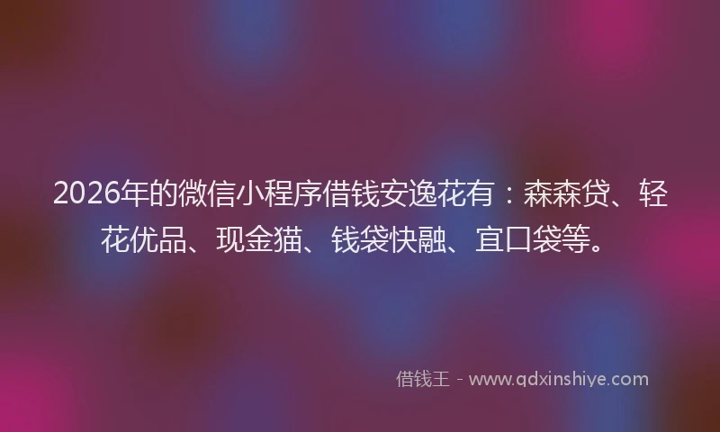 2026年的微信小程序借钱安逸花有：森森贷、轻花优品、现金猫、钱袋快融、宜口袋等。