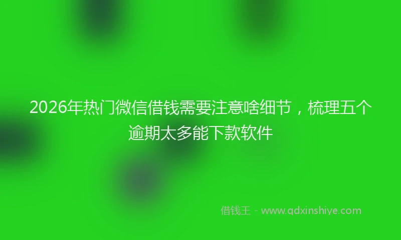2026年热门微信借钱需要注意啥细节，梳理五个逾期太多能下款软件