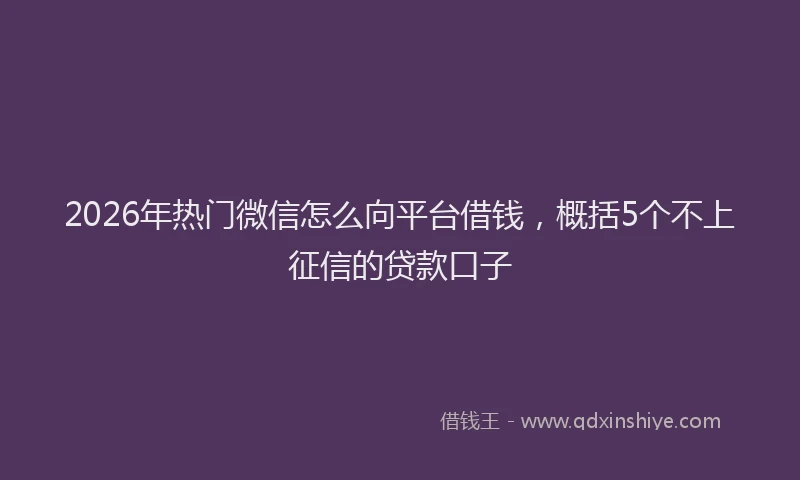 2026年热门微信怎么向平台借钱，概括5个不上征信的贷款口子