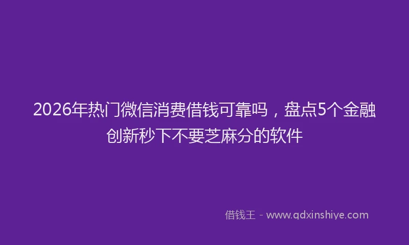 2026年热门微信消费借钱可靠吗,盘点5个金融创新秒下不要芝麻分的软件