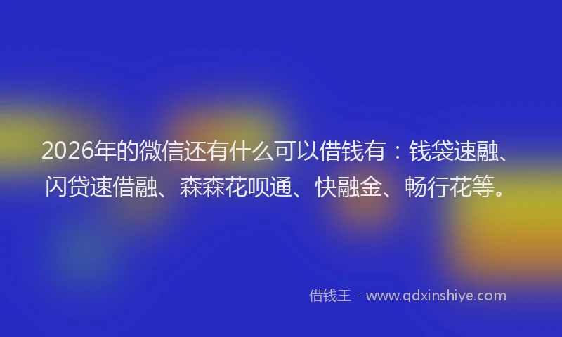 2026年的微信还有什么可以借钱有：钱袋速融、闪贷速借融、森森花呗通、快融金、畅行花等。