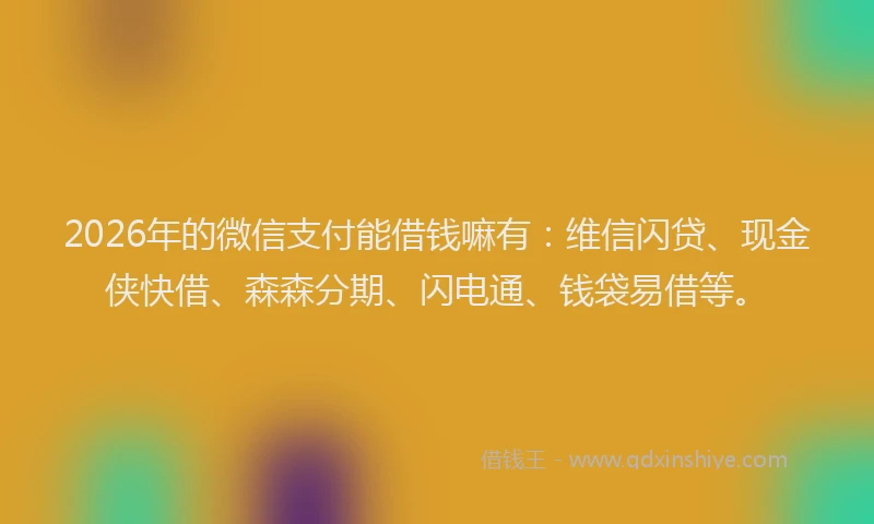 2026年的微信支付能借钱嘛有：维信闪贷、现金侠快借、森森分期、闪电通、钱袋易借等。