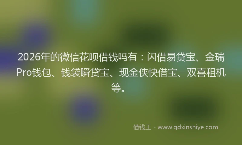 2026年的微信花呗借钱吗有：闪借易贷宝、金瑞Pro钱包、钱袋瞬贷宝、现金侠快借宝、双喜租机等。