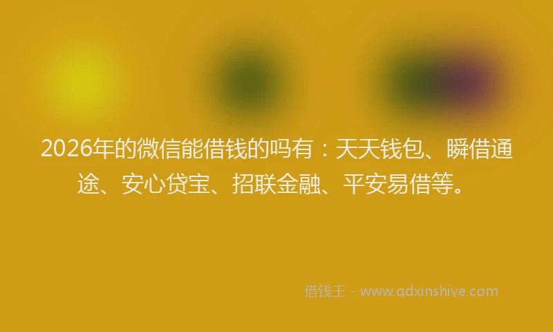 2026年的微信能借钱的吗有：天天钱包、瞬借通途、安心贷宝、招联金融、平安易借等。