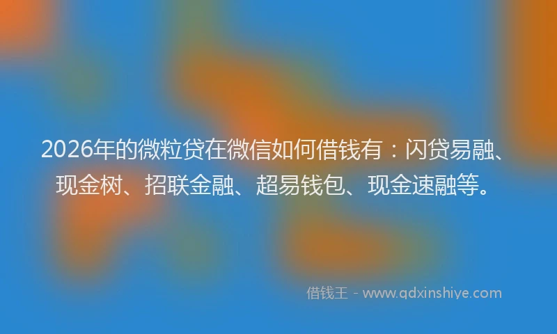 2026年的微粒贷在微信如何借钱有:闪贷易融、现金树、招联金融、超易钱包、现金速融等。