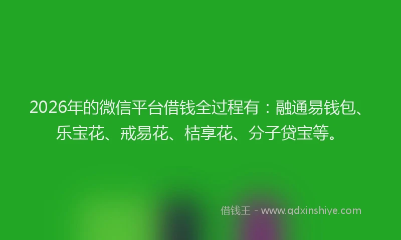2026年的微信平台借钱全过程有:融通易钱包、乐宝花、戒易花、桔享花、分子贷宝等。