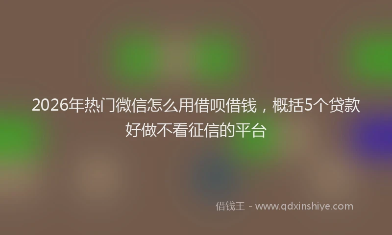 2026年热门微信怎么用借呗借钱，概括5个贷款好做不看征信的平台