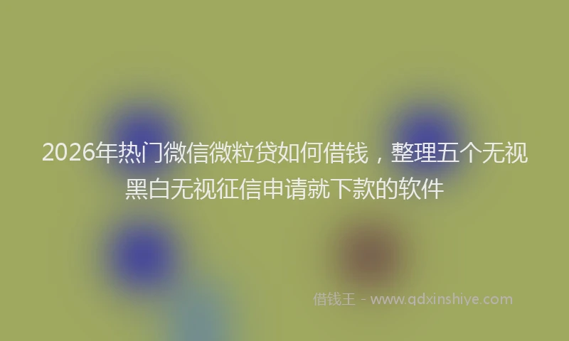 2026年热门微信微粒贷如何借钱，整理五个无视黑白无视征信申请就下款的软件