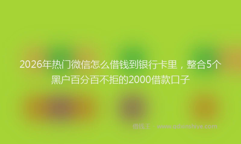 2026年热门微信怎么借钱到银行卡里，整合5个黑户百分百不拒的2000借款口子