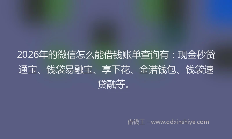 2026年的微信怎么能借钱账单查询有：现金秒贷通宝、钱袋易融宝、享下花、金诺钱包、钱袋速贷融等。