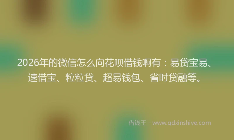 2026年的微信怎么向花呗借钱啊有：易贷宝易、速借宝、粒粒贷、超易钱包、省时贷融等。