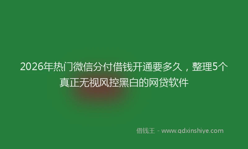 2026年热门微信分付借钱开通要多久，整理5个真正无视风控黑白的网贷软件