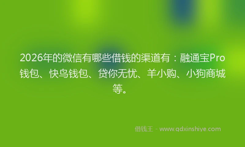 2026年的微信有哪些借钱的渠道有：融通宝Pro钱包、快鸟钱包、贷你无忧、羊小购、小狗商城等。