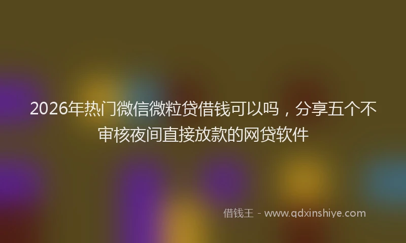2026年热门微信微粒贷借钱可以吗，分享五个不审核夜间直接放款的网贷软件