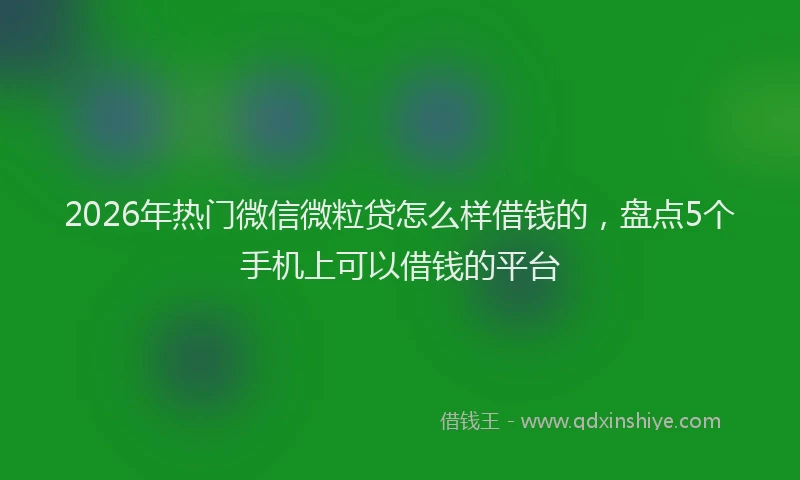 2026年热门微信微粒贷怎么样借钱的，盘点5个手机上可以借钱的平台