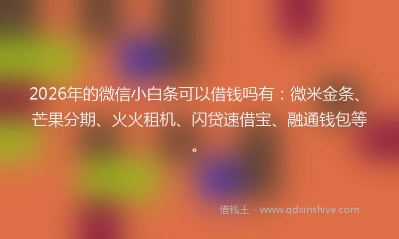 2026年的微信小白条可以借钱吗有：微米金条、芒果分期、火火租机、闪贷速借宝、融通钱包等。