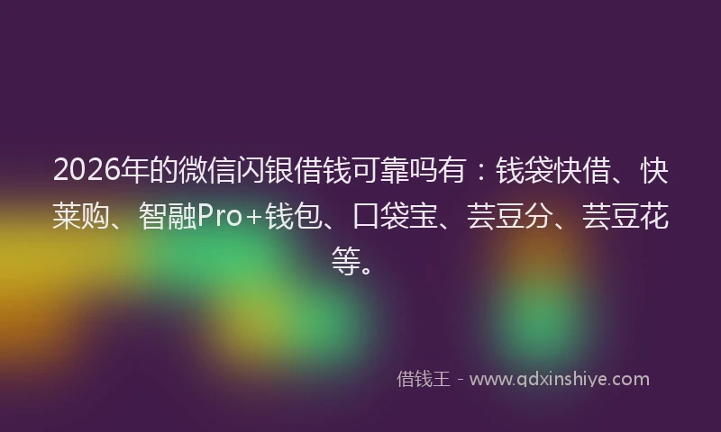 2026年的微信闪银借钱可靠吗有：钱袋快借、快莱购、智融Pro+钱包、口袋宝、芸豆分、芸豆花等。