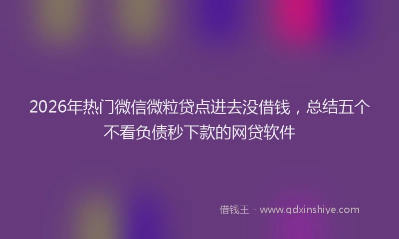 2026年热门微信微粒贷点进去没借钱，总结五个不看负债秒下款的网贷软件