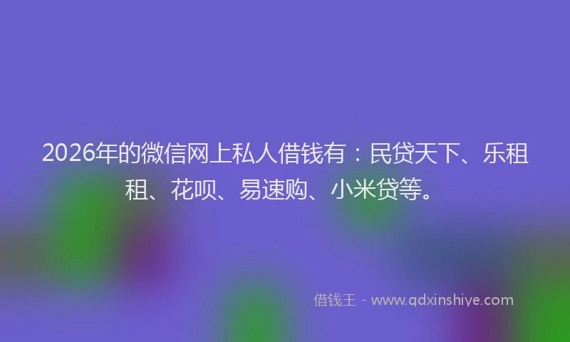 2026年的微信网上私人借钱有：民贷天下、乐租租、花呗、易速购、小米贷等。