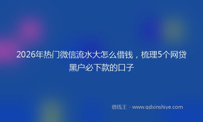 2026年热门微信流水大怎么借钱，梳理5个网贷黑户必下款的口子