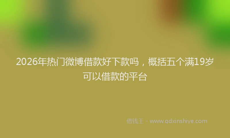 2026年热门微博借款好下款吗，概括五个满19岁可以借款的平台