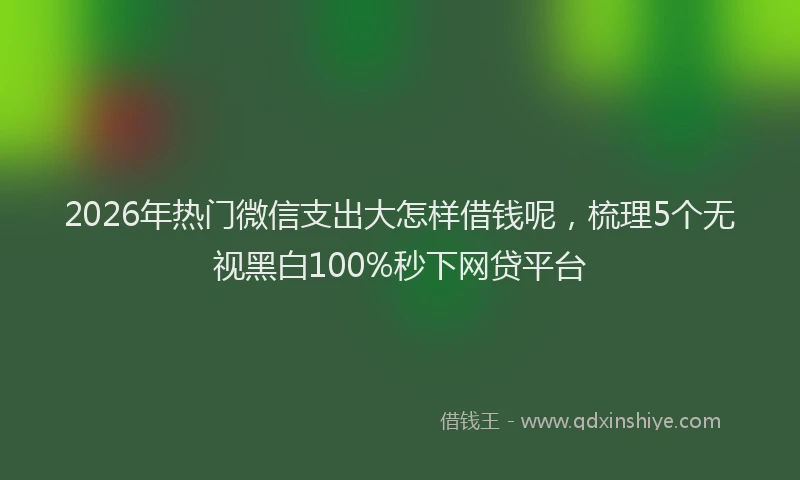 2026年热门微信支出大怎样借钱呢，梳理5个无视黑白100%秒下网贷平台