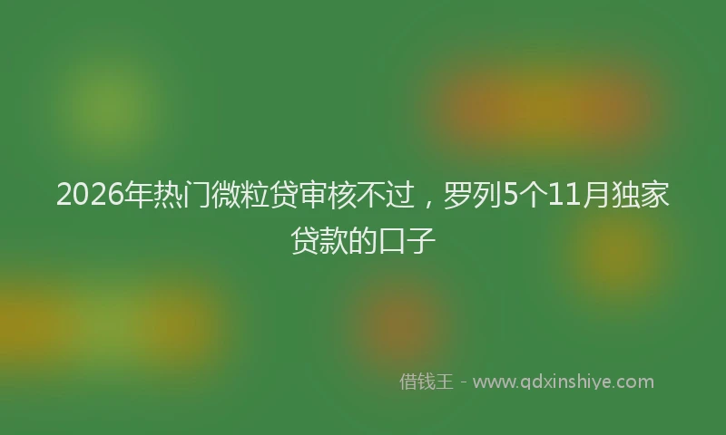2026年热门微粒贷审核不过，罗列5个11月独家贷款的口子